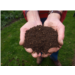 Compost 
